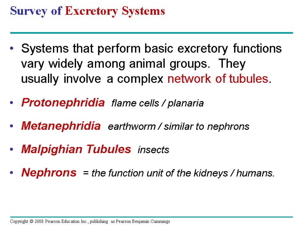 Survey of Excretory Systems Systems that perform basic excretory functions vary widely among animal